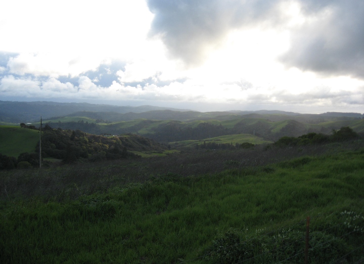Santa Cruz Mountains